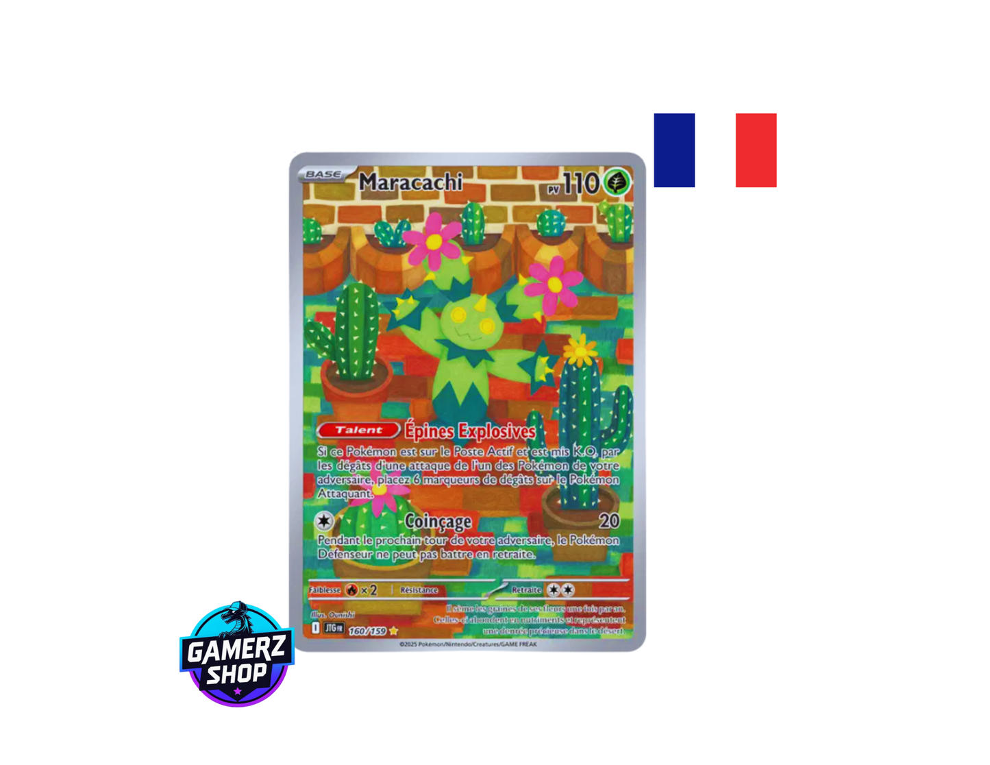 Maracachi 160/159 EV9 Aventures Ensemble - FR - Near Mint